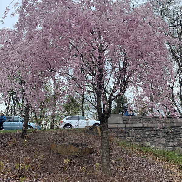 4/17/2021にDanikaがBranch Brook Parkで撮った写真