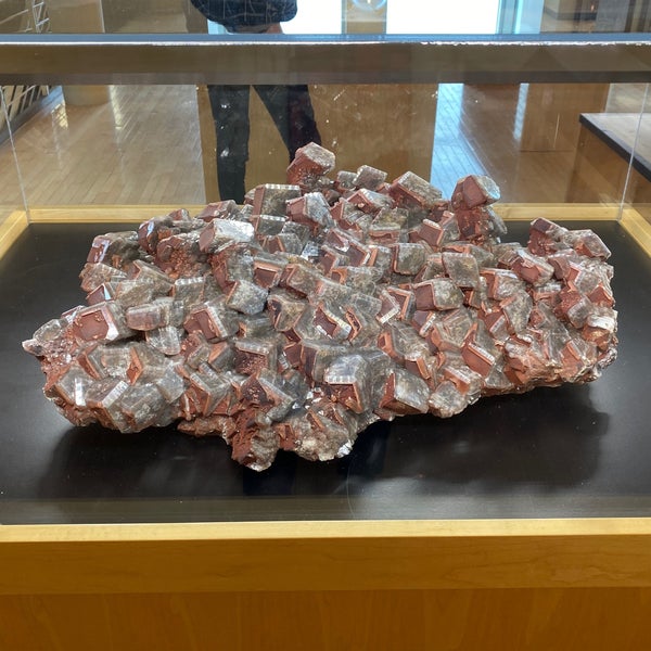 Colorado School Of Mines Geology Museum