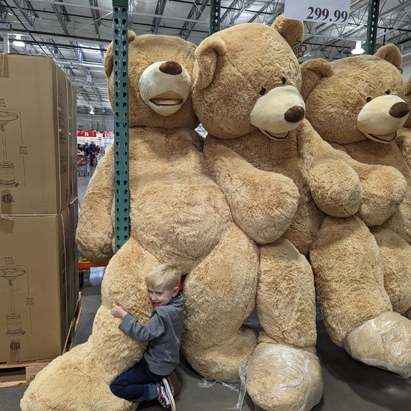 Costco Wholesale Queen Creek, AZ