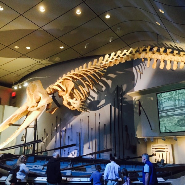 Foto tirada no(a) The Whaling Museum por Colin B. em 5/23/2015