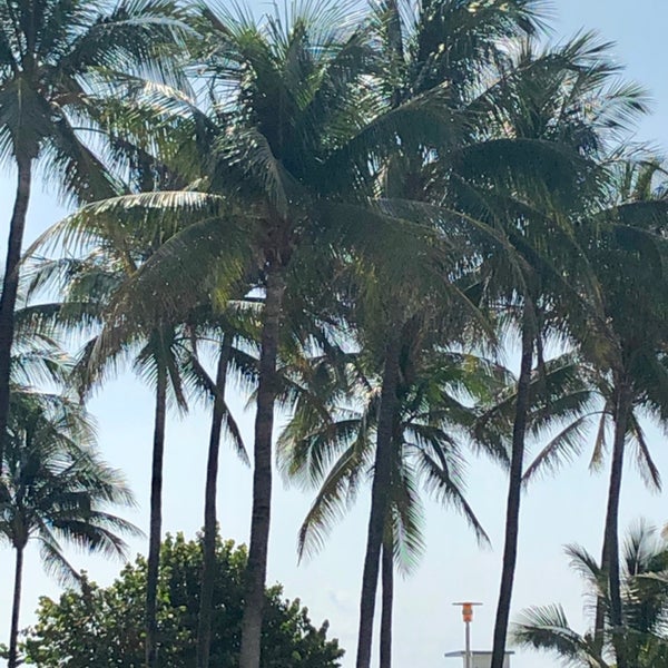Photo taken at The Betsy - South Beach by Rick S. on 4/28/2019