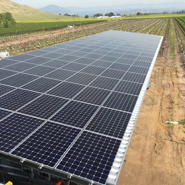 7 canibalismo. Solar 8. Solar 8 струн. электрогитара solar guitars v1. Solar guitars e1.