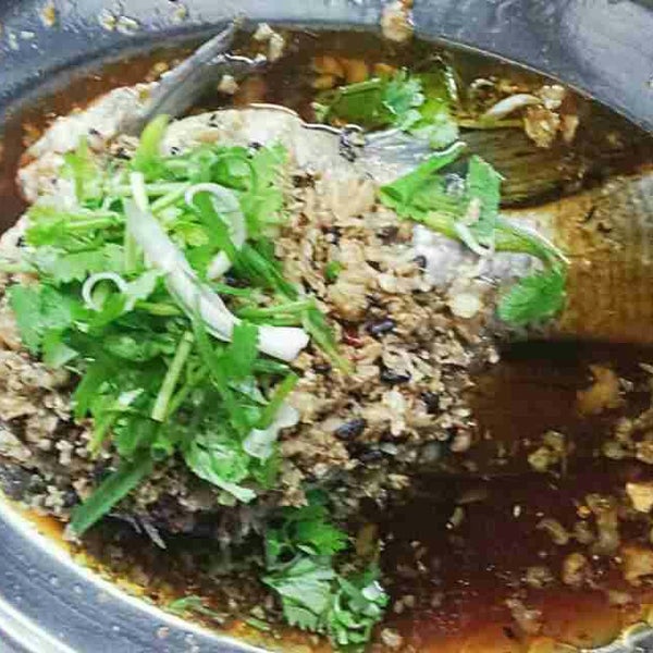 Yummy yuk 2 
