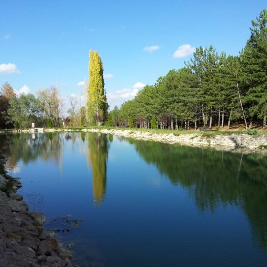 Yeşil Vadi Çankaya�da Orman