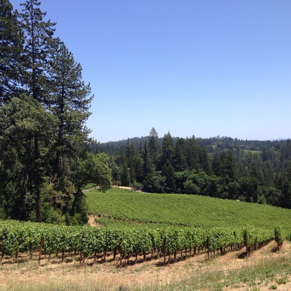 รูปภาพถ่ายที่ Cade Estate Winery โดย Madeline B. เมื่อ 6/1/2014