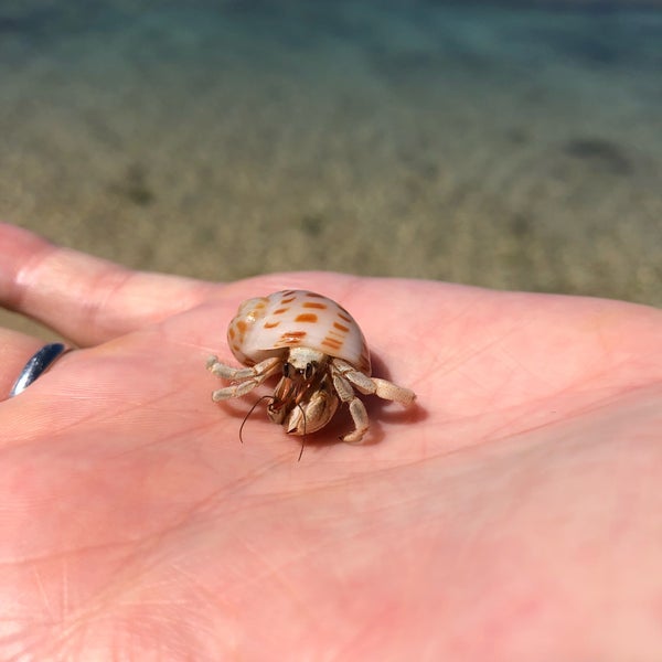 谷茶前の浜の碑 谷茶 谷茶前の浜の碑 谷茶