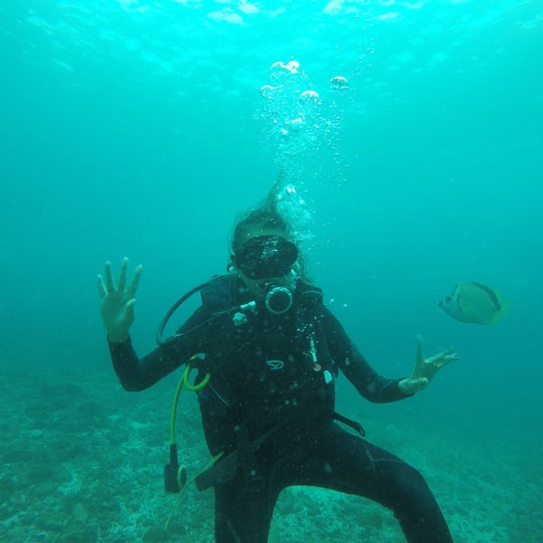 Айя Напа дайвинг центр Olympian Divers