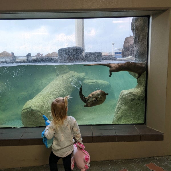 4/19/2022 tarihinde Amanda S.ziyaretçi tarafından Texas State Aquarium'de çekilen fotoğraf