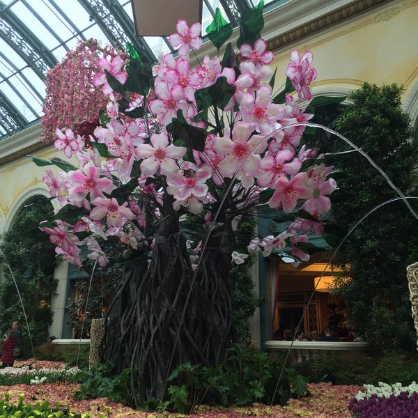 Photo taken at Bellagio Conservatory &amp; Botanical Gardens by Michelle R. on 3/21/2016
