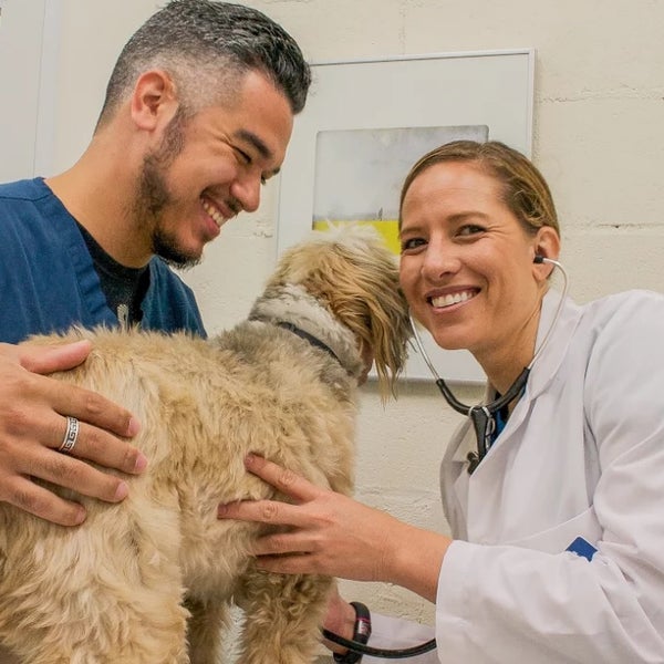 Photos at Biscuits & Bath Carnegie Hill New York, NY