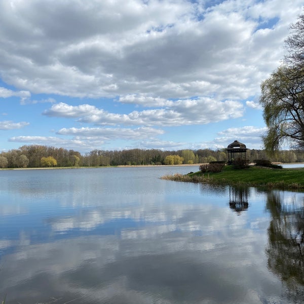 Дикие водоемы. Земля с речкой. Болото водяного. Дикие водоемы. Пруд дикий.