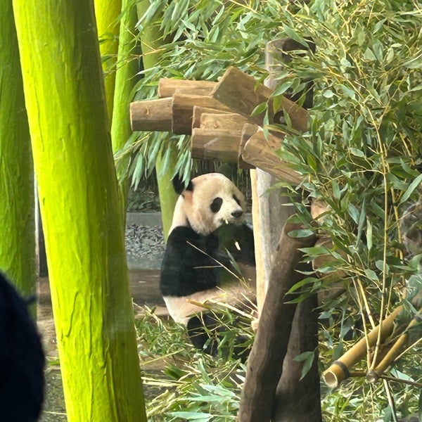 Photo taken at Zoo Berlin by Ivan on 3/9/2024