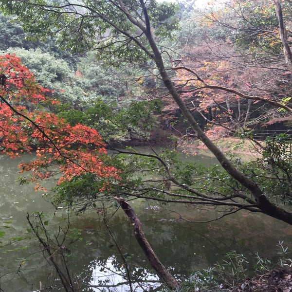 Photos At 白馬渓 臼杵市 大分県
