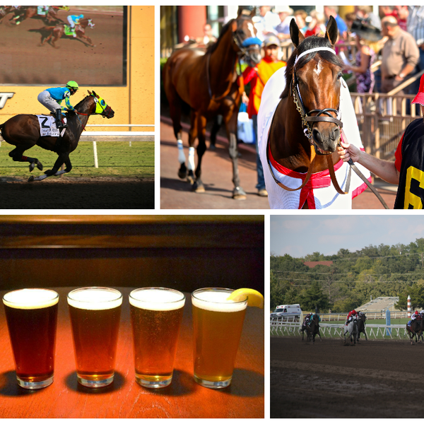 The racing week is here! Join us as we start off the thoroughbred races with a bang! Come watch, wager, and win with the best of them here! #OKC #liveracing #thoroughbred #horses #getpumped