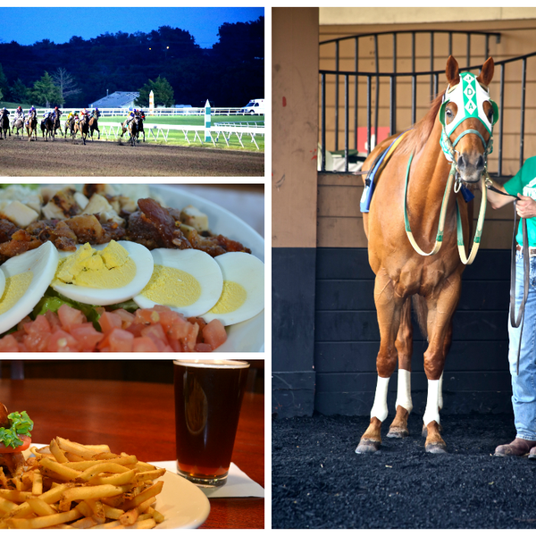 It’s okay to stare. We know the horses aren't the only showstoppers around here. #Showstoppers #liveracing #OKC #dinnerandashow