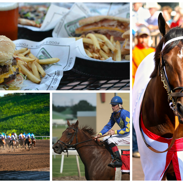 Come enjoy your Friday night with the night’s live Thoroughbred Races! #goodtimes #TGIF #Friday #OKC #liveracing