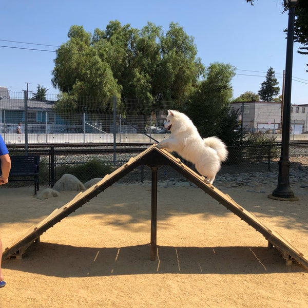 main street dog agility park