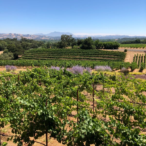 Foto diambil di MacRostie Winery &amp; Vineyards oleh David R. pada 7/27/2018