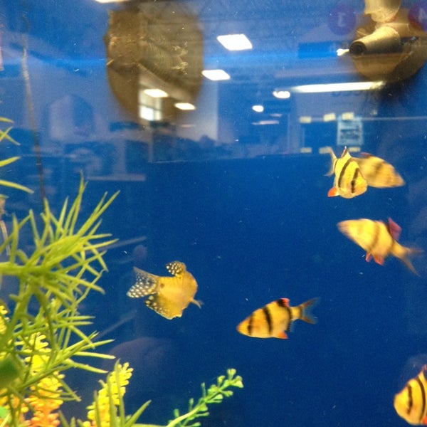 PetSmart Pet Supplies Store