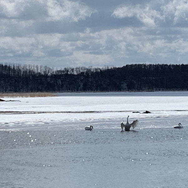 Photos At 白鳥公園 網走 網走市 北海道