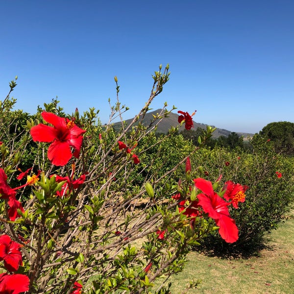 Photo taken at Marianne Wine Estate by Frank H. on 12/23/2019