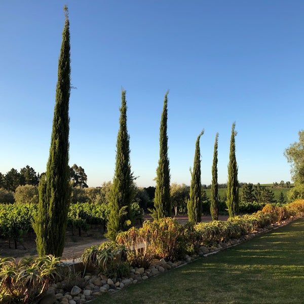 Photo taken at Marianne Wine Estate by Frank H. on 12/22/2019