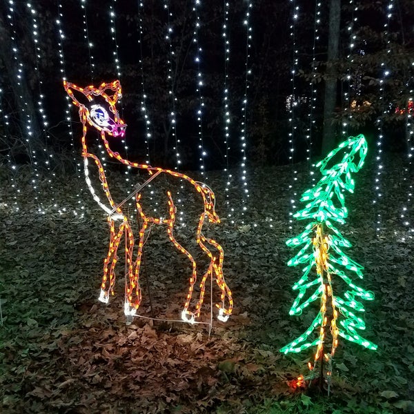 Arnette Park Christmas Lights 2022 Arnette Park - 9 Tips From 300 Visitors