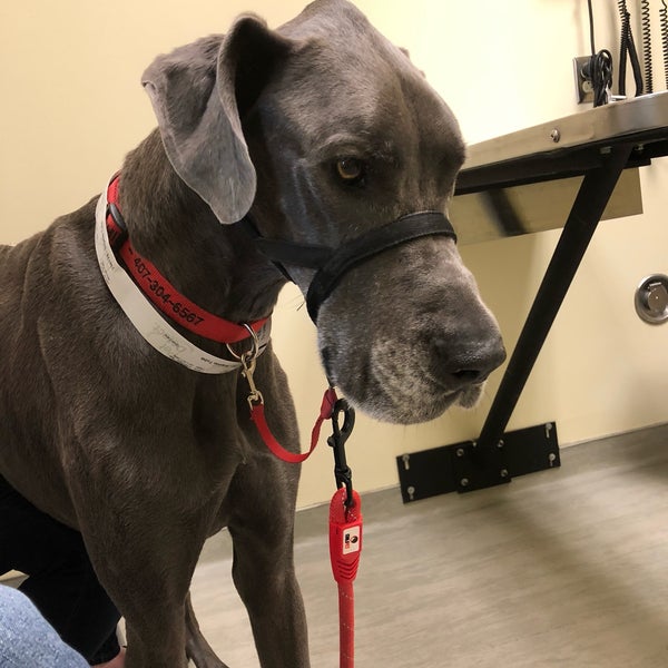 Photos at University of Florida Small Animal Hospital 4 tips from 206