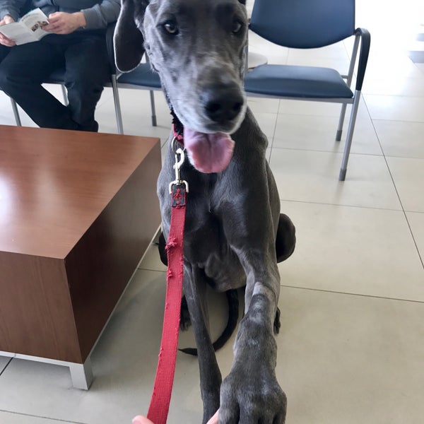 Photos at University of Florida Small Animal Hospital 4 tips from 206