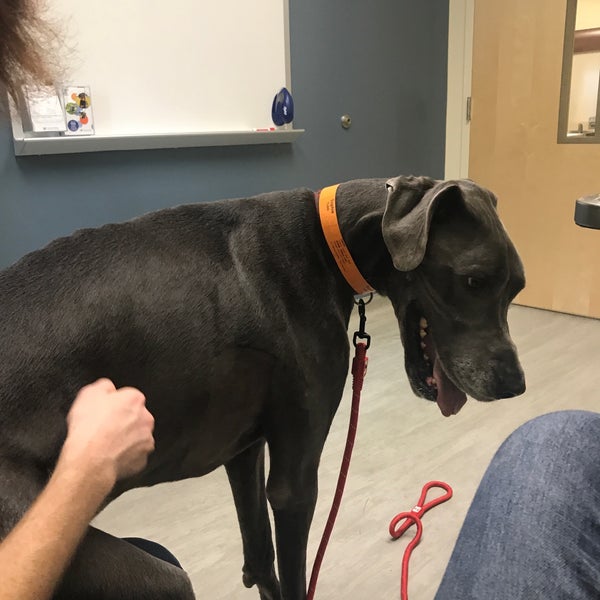 Photos at University of Florida Small Animal Hospital 4 tips from 206