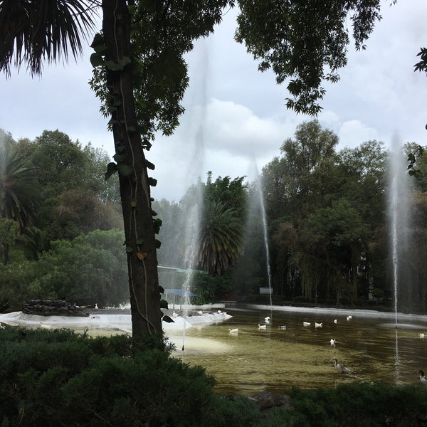 10/11/2016에 Denis H.님이 Parque México에서 찍은 사진