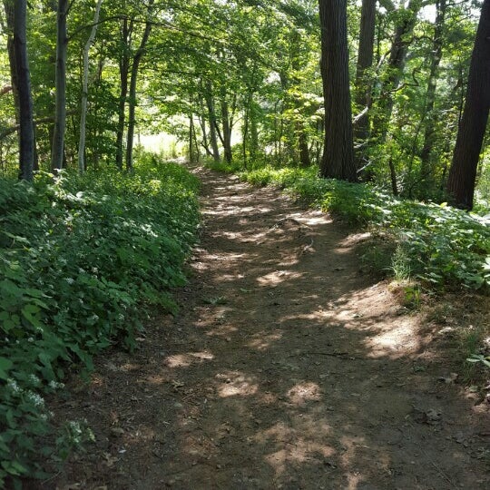 Go down the trail to the beach it is so beautiful