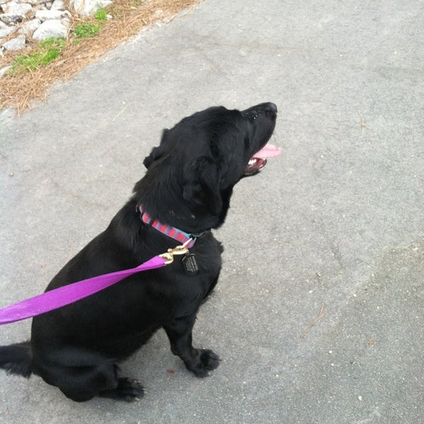 Fayetteville Dog Park Dog Run in Fayetteville