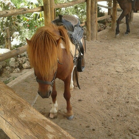 Laren Safari Park 19 Tips From 4988 Visitors