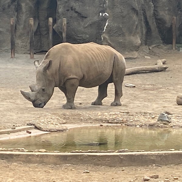Photo taken at Philadelphia Zoo by Michael P. on 9/25/2022