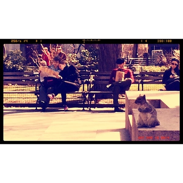 3/15/2014にPaulo S.がMadison Square Park Conservancyで撮った写真