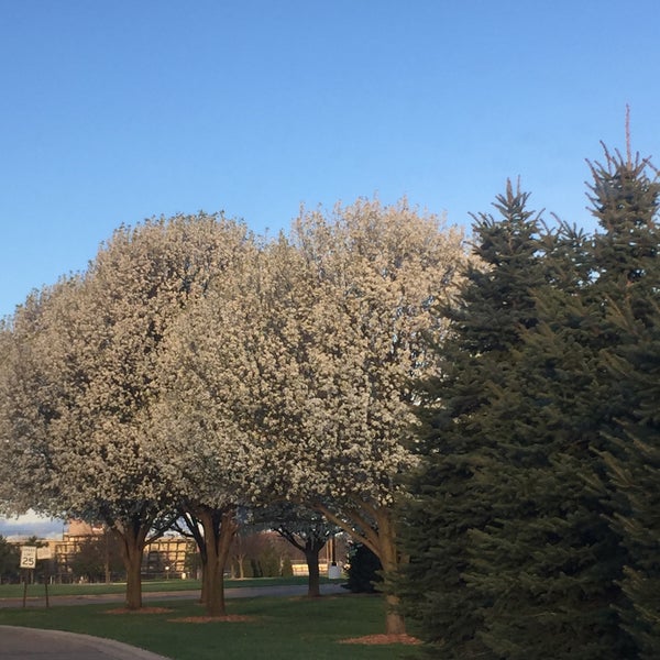 Photos at Allendale High School Allendale, MI