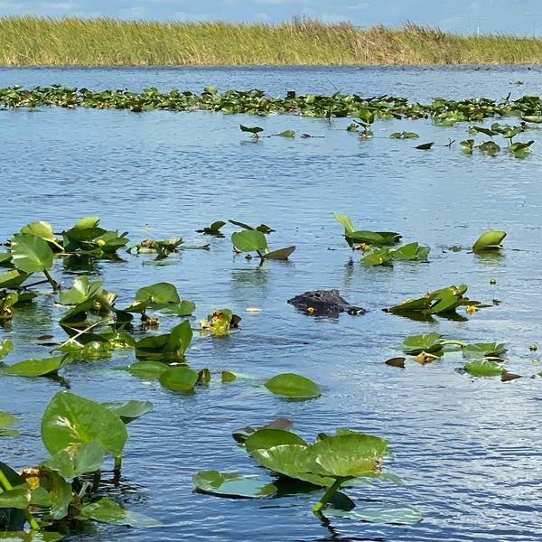 Photo taken at Everglades Holiday Park by BELU on 11/2/2019