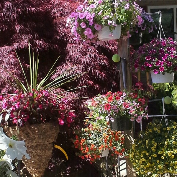 Bloomin Haus Flower Store