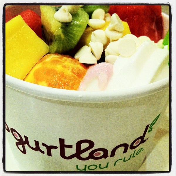 Yogurtland Frozen Yogurt Shop in Irvine