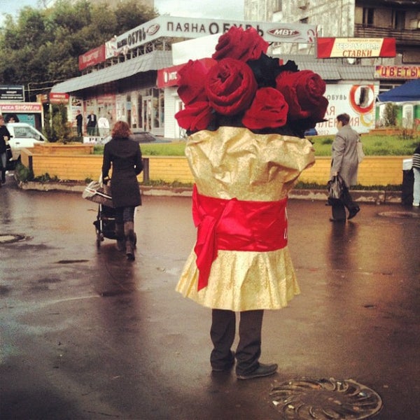 чертаново центральное район москвы. городские клумбы новинки 2023. компания доставки цветов. гбу жилищник чертаново северное. цветы на метро чертановская.