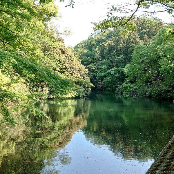 散在ガ池森林公園 鎌倉湖畔 Forest In 鎌倉市