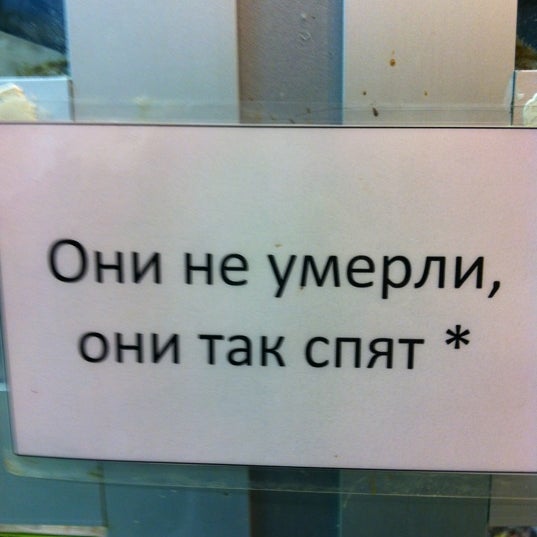 Зоомагазин Папа Карло Интернет Магазин