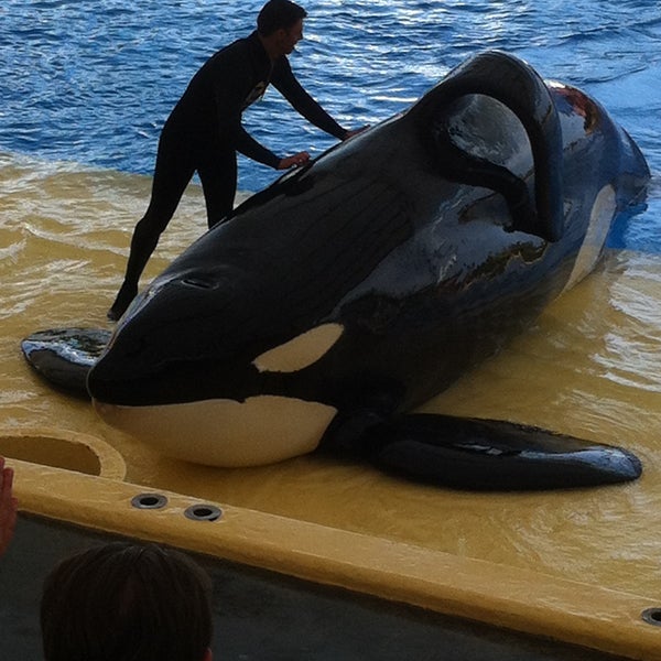 Foto tomada en Loro Parque  por Alex P. el 4/27/2013