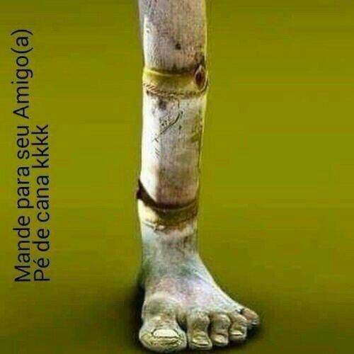 Caster Club Carrão 60 clientes