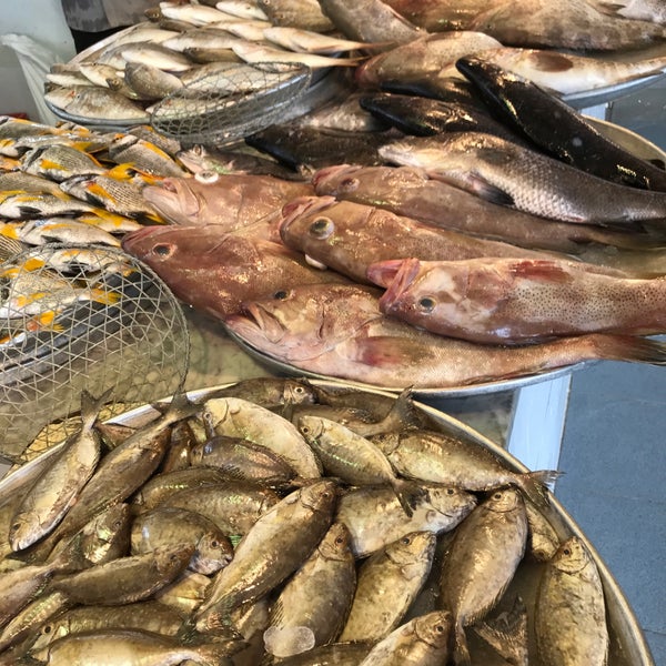 Photos at Qatif fish market Al Qaţīf, الشرقية