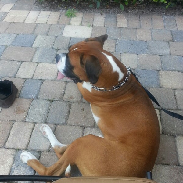 Photos at Tin Fish (Now Closed) Tradition Port Saint Lucie, FL