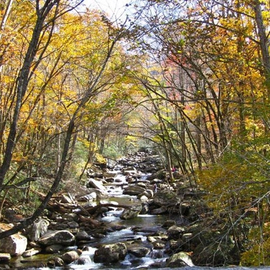 Who?s ready for a trip to the Smokies this fall? http://bit.ly/R2uEBN #ParkGrillGatlinburg