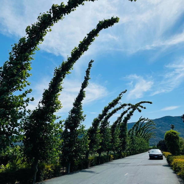 Foto diambil di Peju Province Winery oleh Eric R. pada 7/25/2021