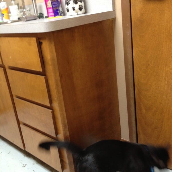 Boonville Animal Hospital 28 visitors